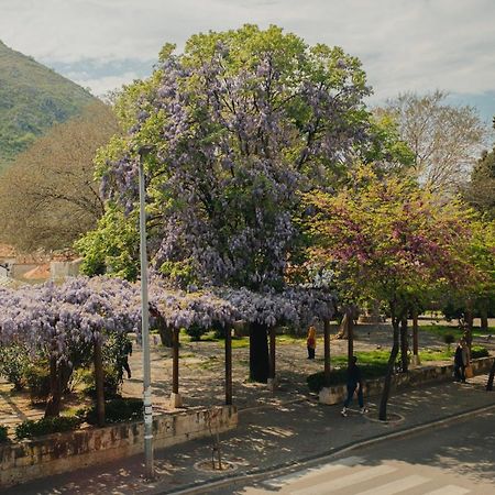 Hotel - Villa Lejla موستار المظهر الخارجي الصورة